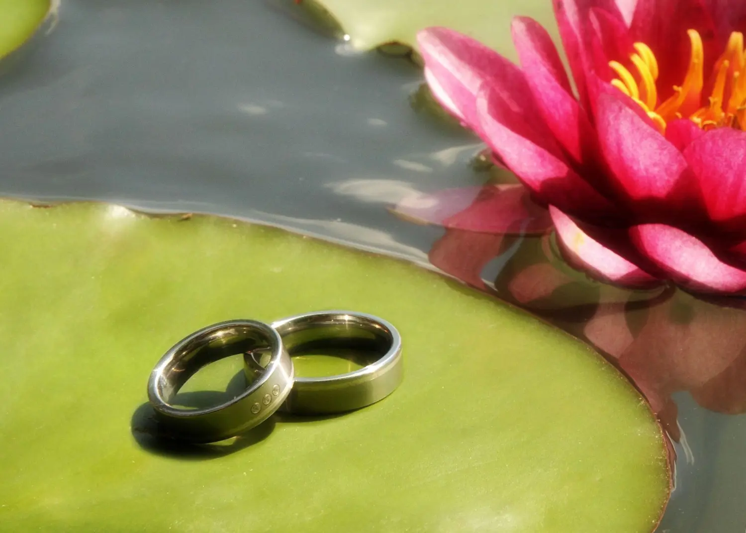 Paar Ringe